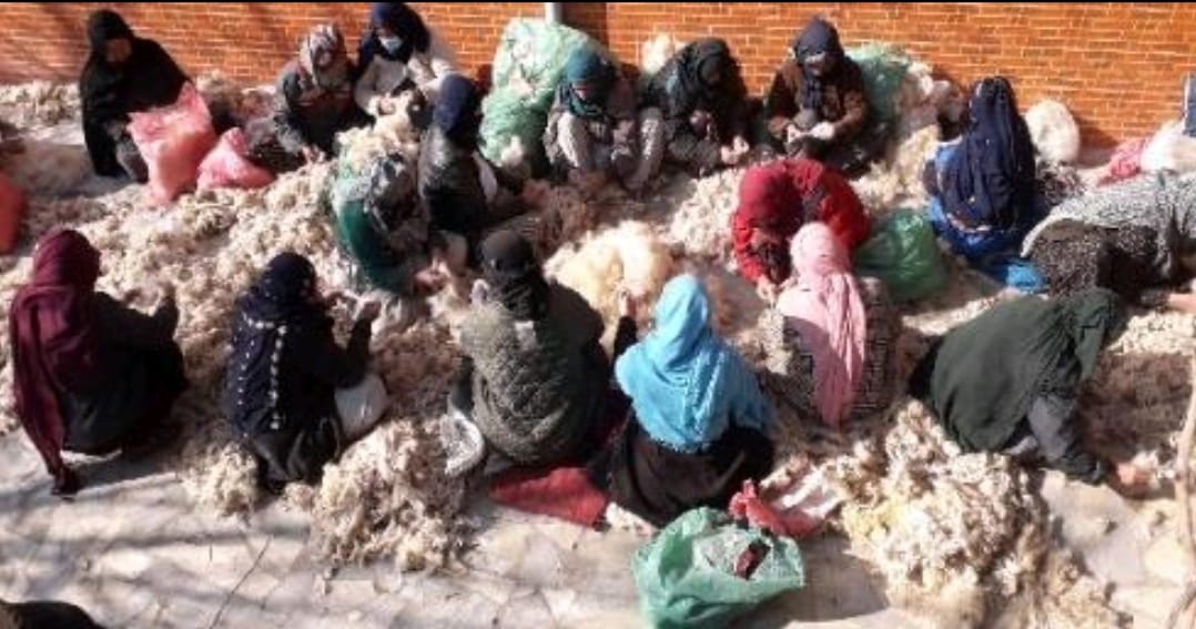 Women's Home-Based Livelihood Empowerment Project